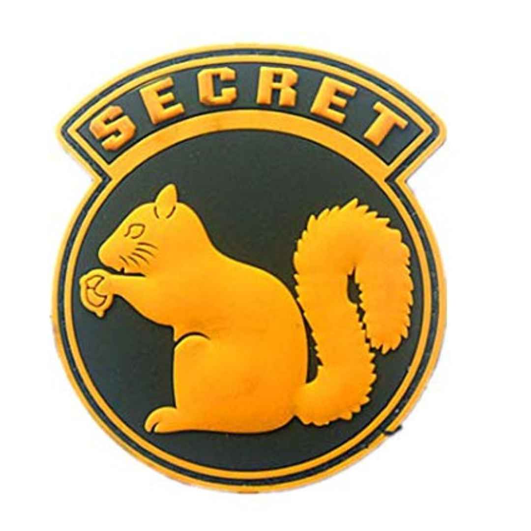 secret squirrel military patch